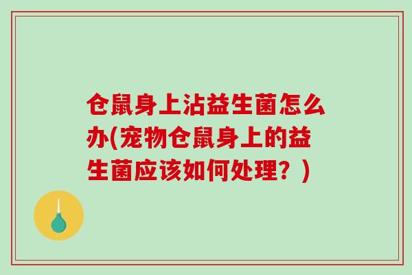 仓鼠身上沾益生菌怎么办(宠物仓鼠身上的益生菌应该如何处理？)