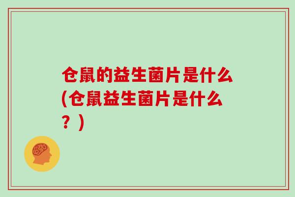 仓鼠的益生菌片是什么(仓鼠益生菌片是什么？)