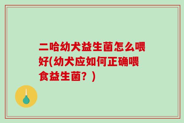 二哈幼犬益生菌怎么喂好(幼犬应如何正确喂食益生菌？)