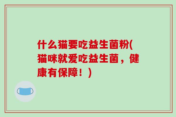什么猫要吃益生菌粉(猫咪就爱吃益生菌，健康有保障！)