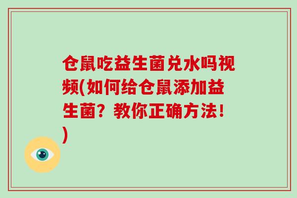 仓鼠吃益生菌兑水吗视频(如何给仓鼠添加益生菌？教你正确方法！)