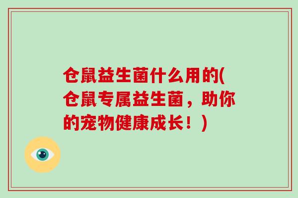 仓鼠益生菌什么用的(仓鼠专属益生菌，助你的宠物健康成长！)
