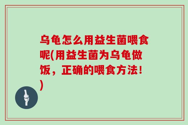 乌龟怎么用益生菌喂食呢(用益生菌为乌龟做饭，正确的喂食方法！)