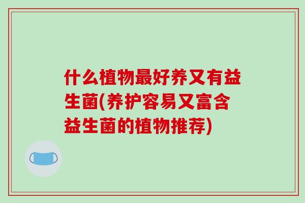 什么植物最好养又有益生菌(养护容易又富含益生菌的植物推荐)