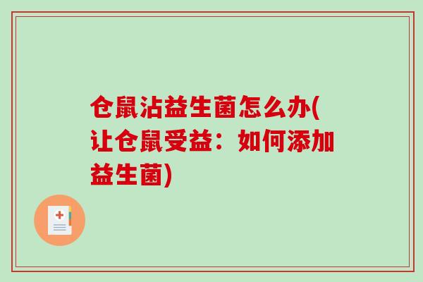 仓鼠沾益生菌怎么办(让仓鼠受益：如何添加益生菌)