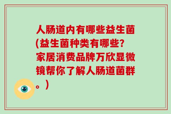 人肠道内有哪些益生菌(益生菌种类有哪些？家居消费品牌万欣显微镜帮你了解人肠道菌群。)