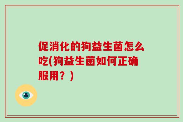 促消化的狗益生菌怎么吃(狗益生菌如何正确服用？)