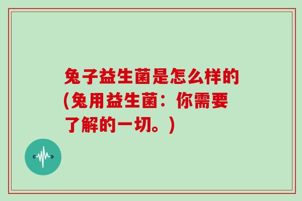 兔子益生菌是怎么样的(兔用益生菌：你需要了解的一切。)