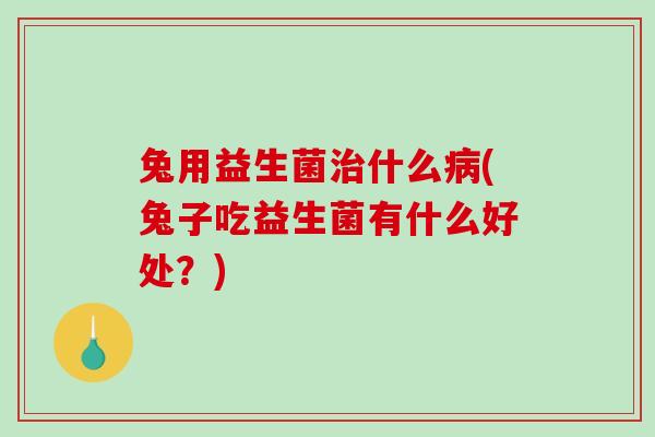 兔用益生菌治什么病(兔子吃益生菌有什么好处？)