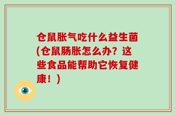 仓鼠胀气吃什么益生菌(仓鼠肠胀怎么办？这些食品能帮助它恢复健康！)