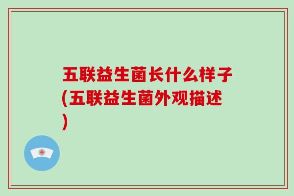 五联益生菌长什么样子(五联益生菌外观描述)