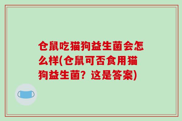 仓鼠吃猫狗益生菌会怎么样(仓鼠可否食用猫狗益生菌？这是答案)