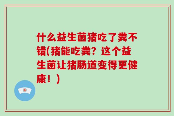 什么益生菌猪吃了粪不错(猪能吃粪？这个益生菌让猪肠道变得更健康！)