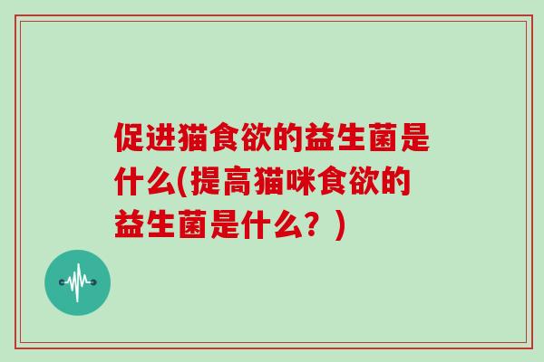 促进猫的益生菌是什么(提高猫咪的益生菌是什么？)