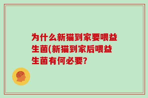 为什么新猫到家要喂益生菌(新猫到家后喂益生菌有何必要? 为什么新猫到家要喂益生菌(新猫到家后喂益生菌有何必要?