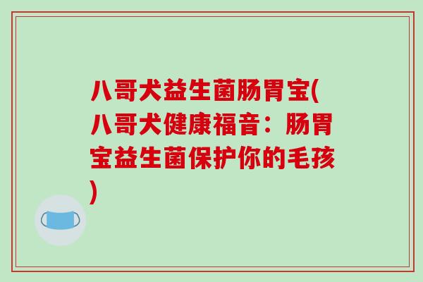 八哥犬益生菌肠胃宝(八哥犬健康福音：肠胃宝益生菌保护你的毛孩)