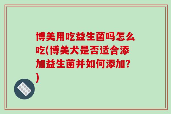 博美用吃益生菌吗怎么吃(博美犬是否适合添加益生菌并如何添加？)