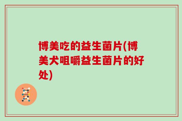 博美吃的益生菌片(博美犬咀嚼益生菌片的好处) 博美吃的益生菌片(博美犬咀嚼益生菌片的好处)