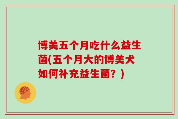 博美五个月吃什么益生菌(五个月大的博美犬如何补充益生菌？)