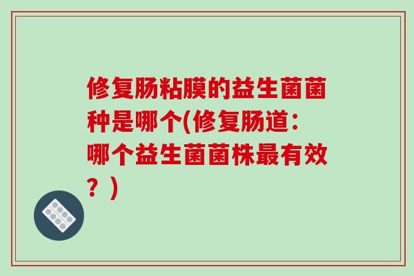 修复肠粘膜的益生菌菌种是哪个(修复肠道：哪个益生菌菌株最有效？)
