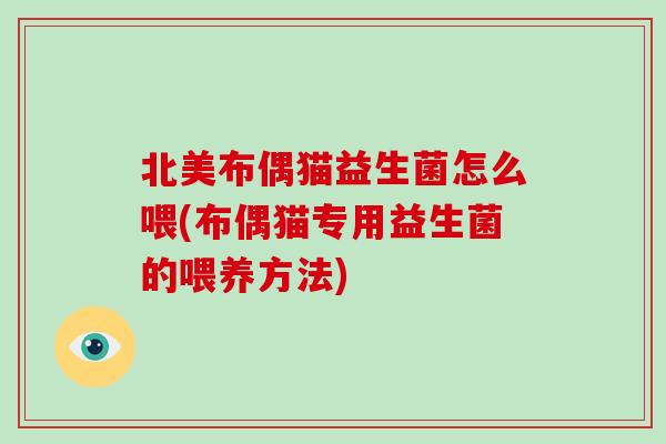 北美布偶猫益生菌怎么喂(布偶猫专用益生菌的喂养方法)