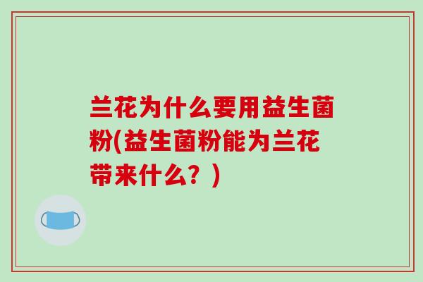 兰花为什么要用益生菌粉(益生菌粉能为兰花带来什么？)
