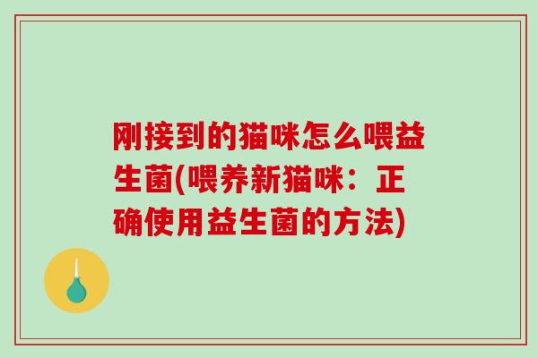 刚接到的猫咪怎么喂益生菌(喂养新猫咪：正确使用益生菌的方法)