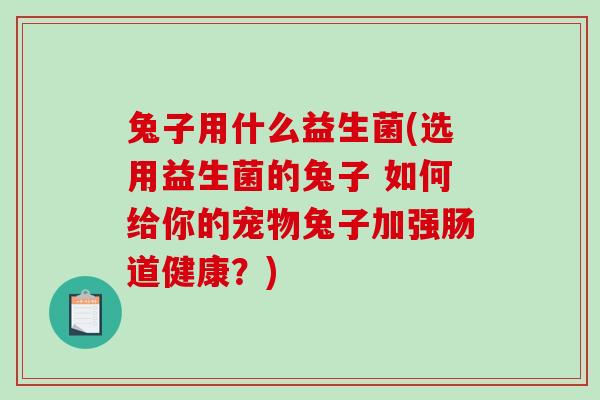 兔子用什么益生菌(选用益生菌的兔子 如何给你的宠物兔子加强肠道健康？)
