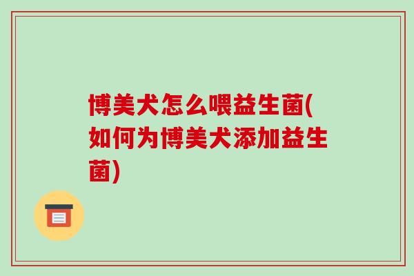 博美犬怎么喂益生菌(如何为博美犬添加益生菌)