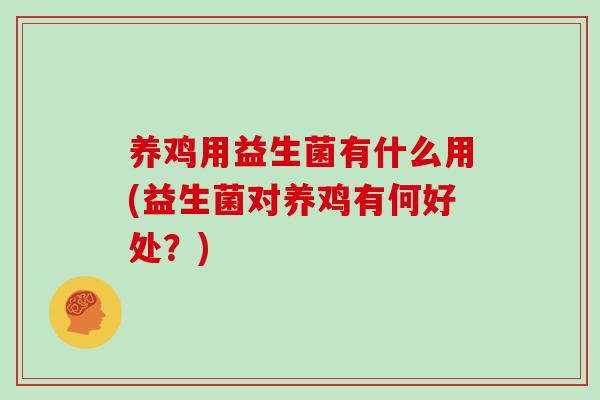 养鸡用益生菌有什么用(益生菌对养鸡有何好处？)