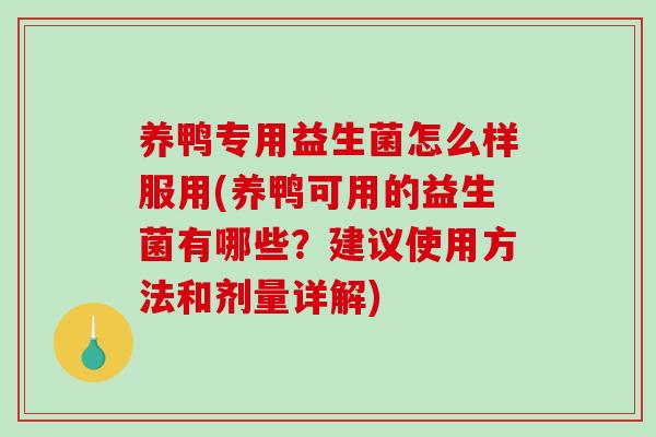 养鸭专用益生菌怎么样服用(养鸭可用的益生菌有哪些？建议使用方法和剂量详解)