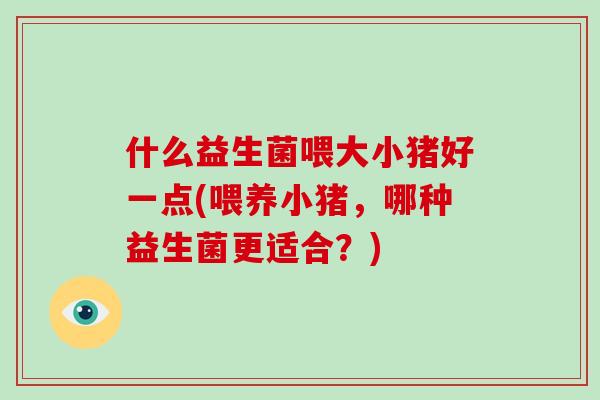 什么益生菌喂大小猪好一点(喂养小猪，哪种益生菌更适合？)
