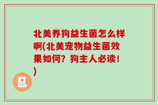 北美养狗益生菌怎么样啊(北美宠物益生菌效果如何？狗主人必读！)
