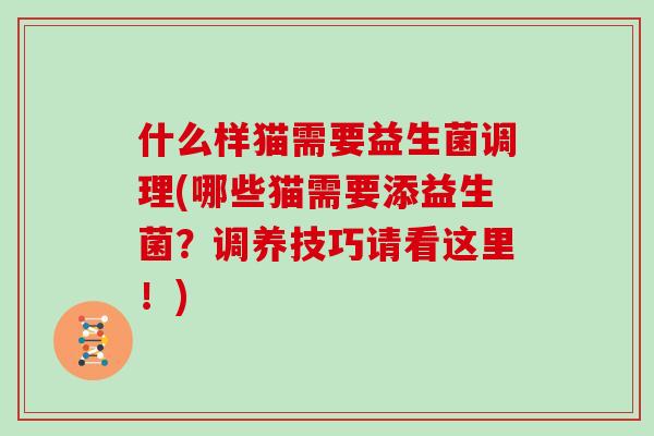 什么样猫需要益生菌调理(哪些猫需要添益生菌？调养技巧请看这里！)