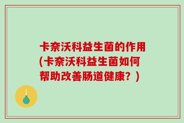 卡奈沃科益生菌的作用(卡奈沃科益生菌如何帮助改善肠道健康？)
