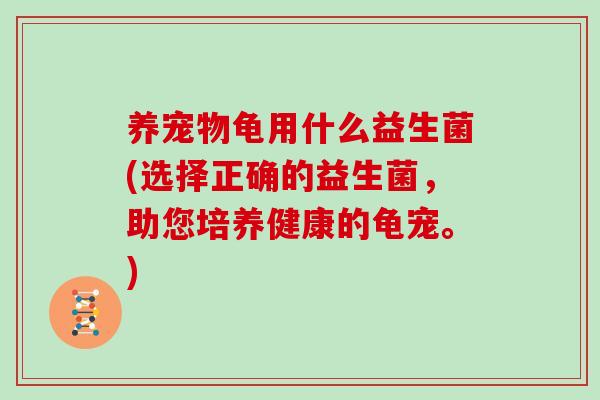 养宠物龟用什么益生菌(选择正确的益生菌，助您培养健康的龟宠。)