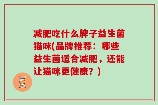 减肥吃什么牌子益生菌猫咪(品牌推荐：哪些益生菌适合减肥，还能让猫咪更健康？)