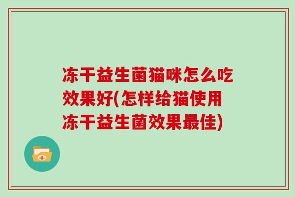 冻干益生菌猫咪怎么吃效果好(怎样给猫使用冻干益生菌效果最佳)