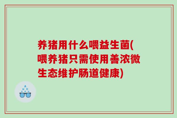 养猪用什么喂益生菌(喂养猪只需使用善浓微生态维护肠道健康)