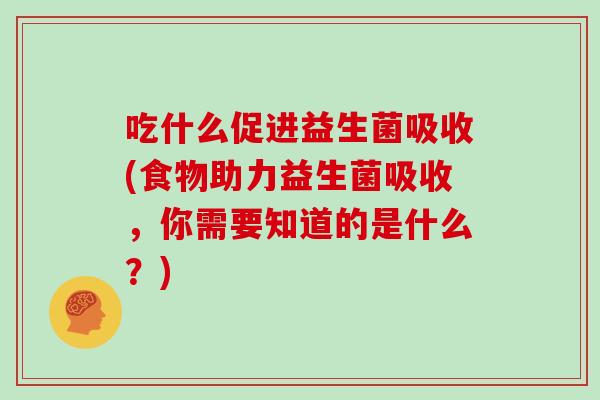 吃什么促进益生菌吸收(食物助力益生菌吸收，你需要知道的是什么？)
