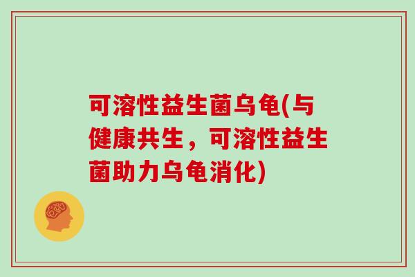 可溶性益生菌乌龟(与健康共生，可溶性益生菌助力乌龟消化)