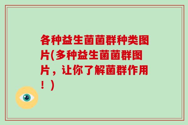 各种益生菌菌群种类图片(多种益生菌菌群图片，让你了解菌群作用！)