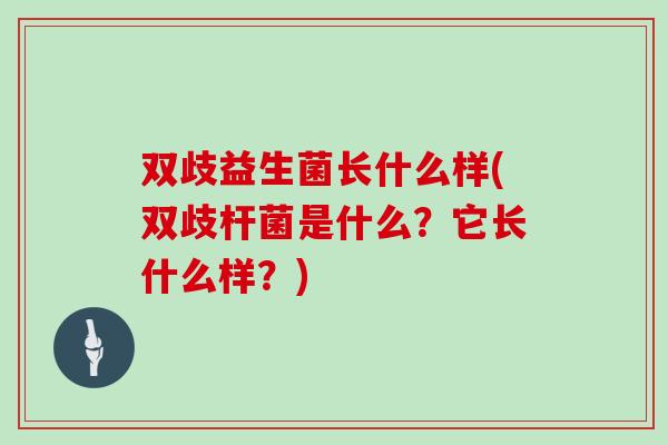 双歧益生菌长什么样(双歧杆菌是什么？它长什么样？)