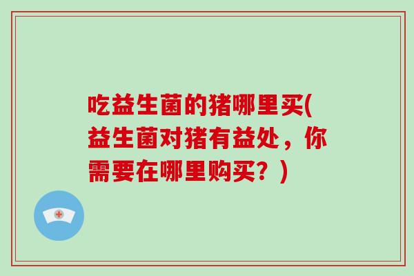 吃益生菌的猪哪里买(益生菌对猪有益处，你需要在哪里购买？)