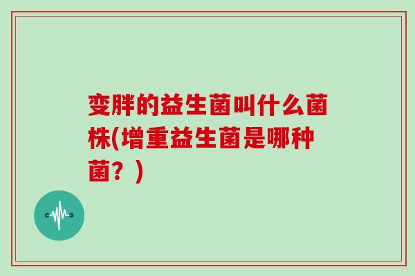 变胖的益生菌叫什么菌株(增重益生菌是哪种菌？)