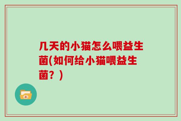 几天的小猫怎么喂益生菌(如何给小猫喂益生菌？)