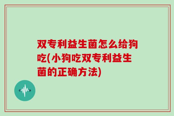 双专利益生菌怎么给狗吃(小狗吃双专利益生菌的正确方法)