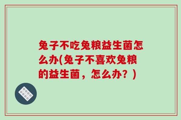 兔子不吃兔粮益生菌怎么办(兔子不喜欢兔粮的益生菌，怎么办？)