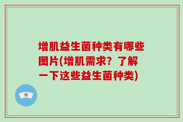 增肌益生菌种类有哪些图片(增肌需求？了解一下这些益生菌种类)
