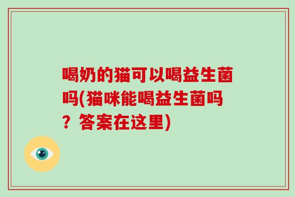 喝奶的猫可以喝益生菌吗(猫咪能喝益生菌吗？答案在这里)